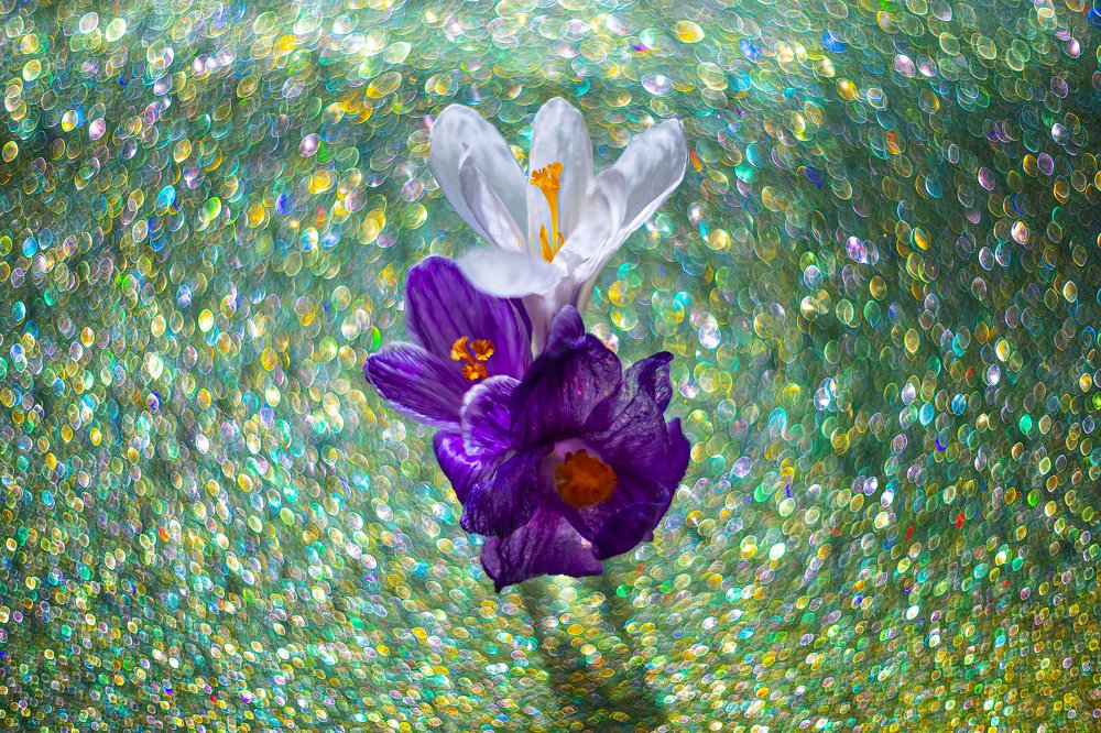 Photograph by Наталья Санталова