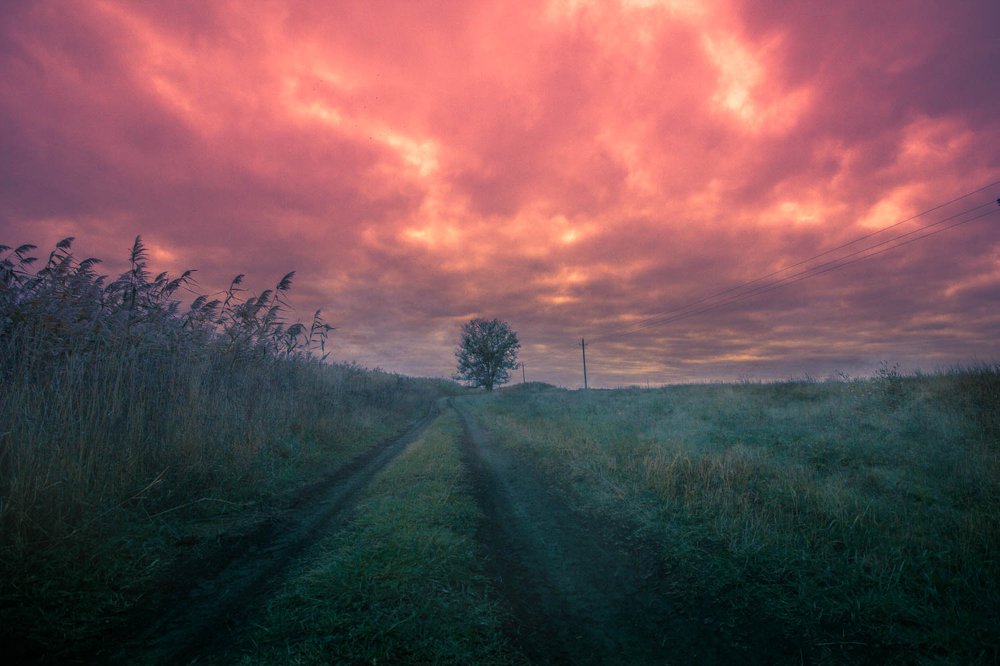 Photograph by Сергей Верещак