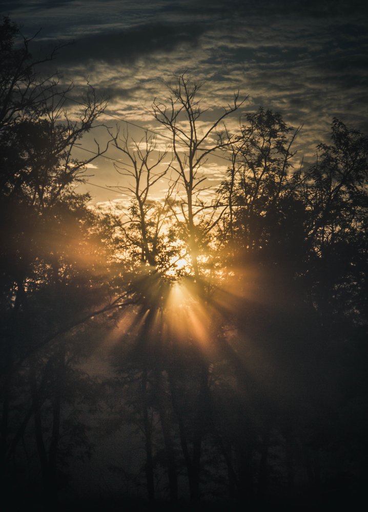 Photograph by Сергей Верещак