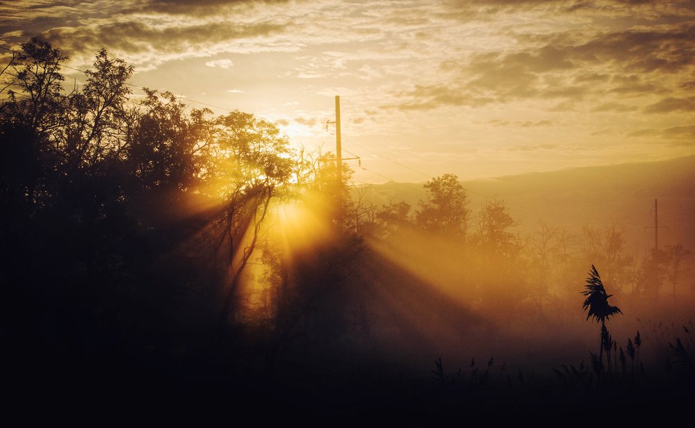 Photograph by Сергей Верещак