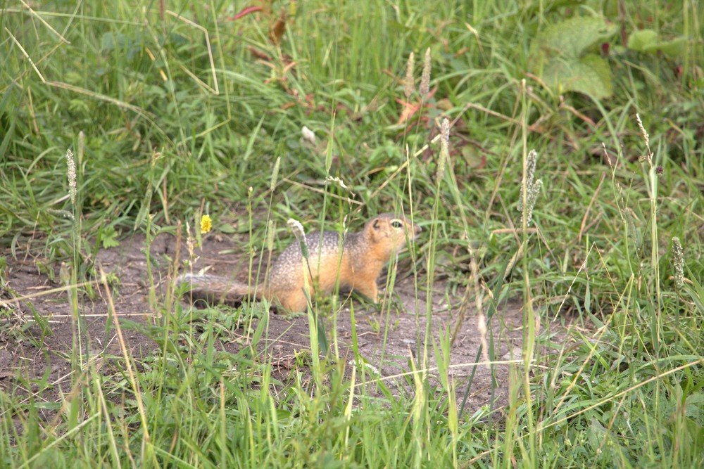 Photograph by Kseniya Panova