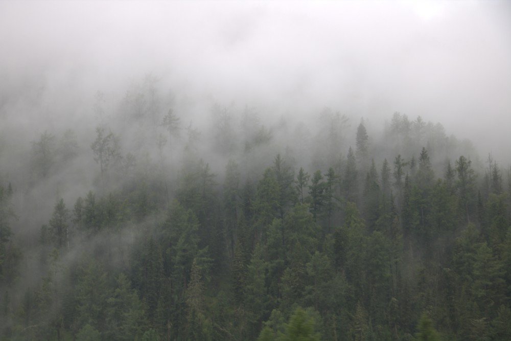 Photograph by Kseniya Panova