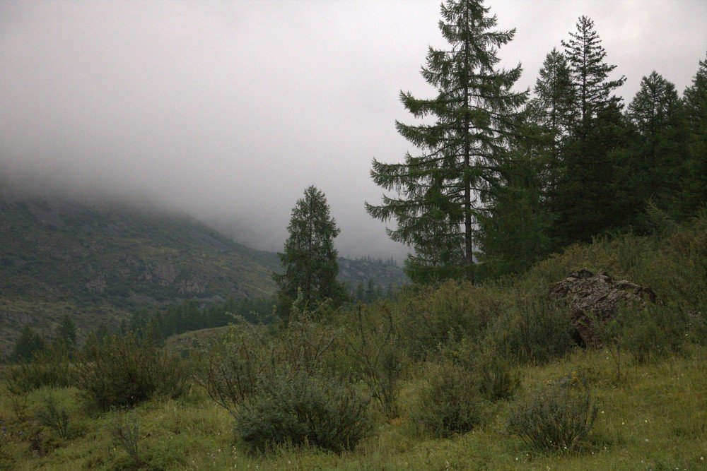 Photograph by Kseniya Panova