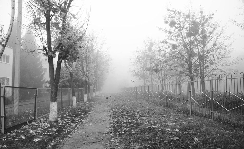 Photograph by Ирина Никитина