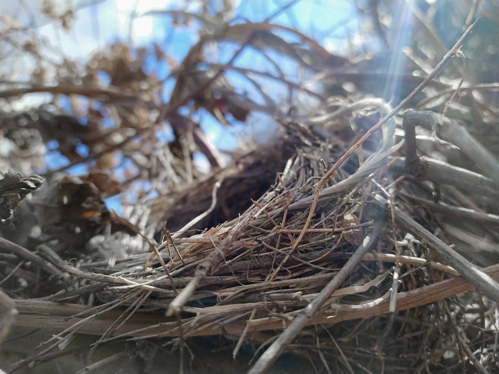 В утренней дымке