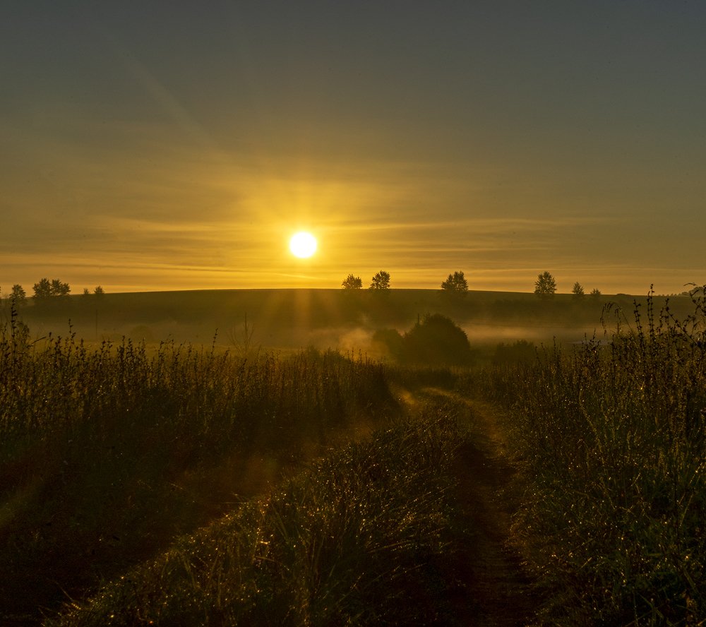 Photograph by Елена Вакумова