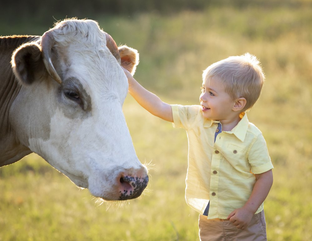 Фотография автора Катерина Лебедева