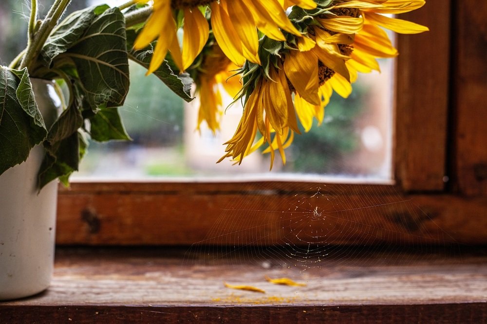 Photograph by Екатерина Андросова