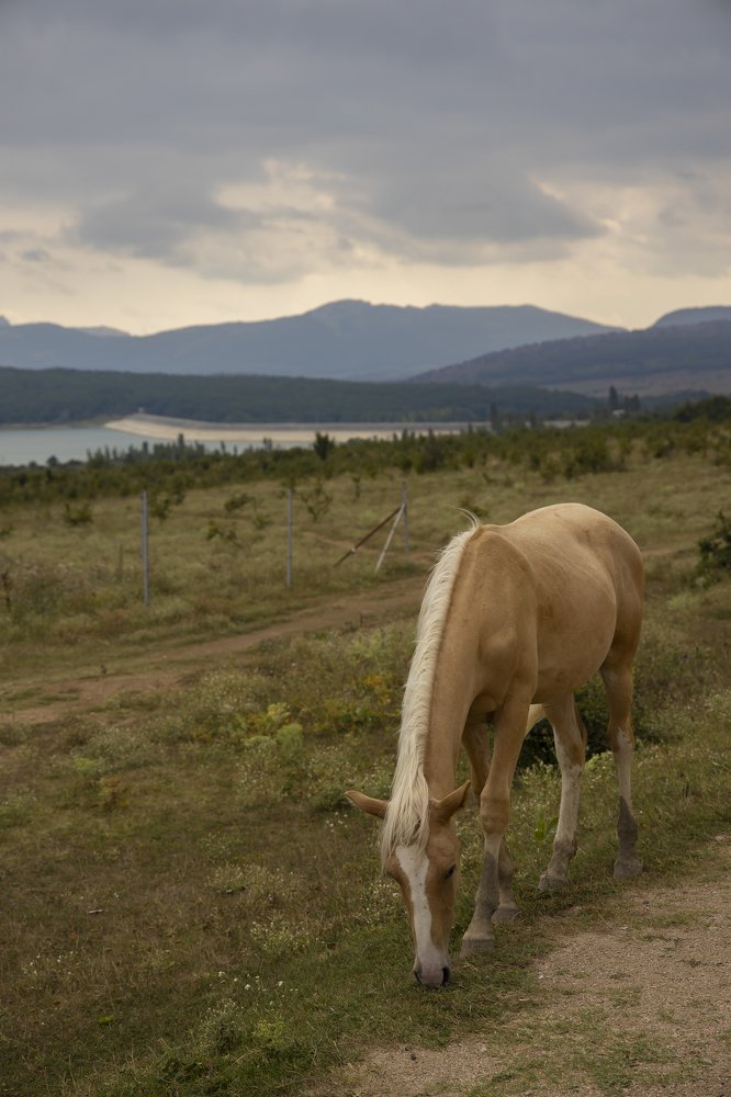Photograph by Екатерина Ларина