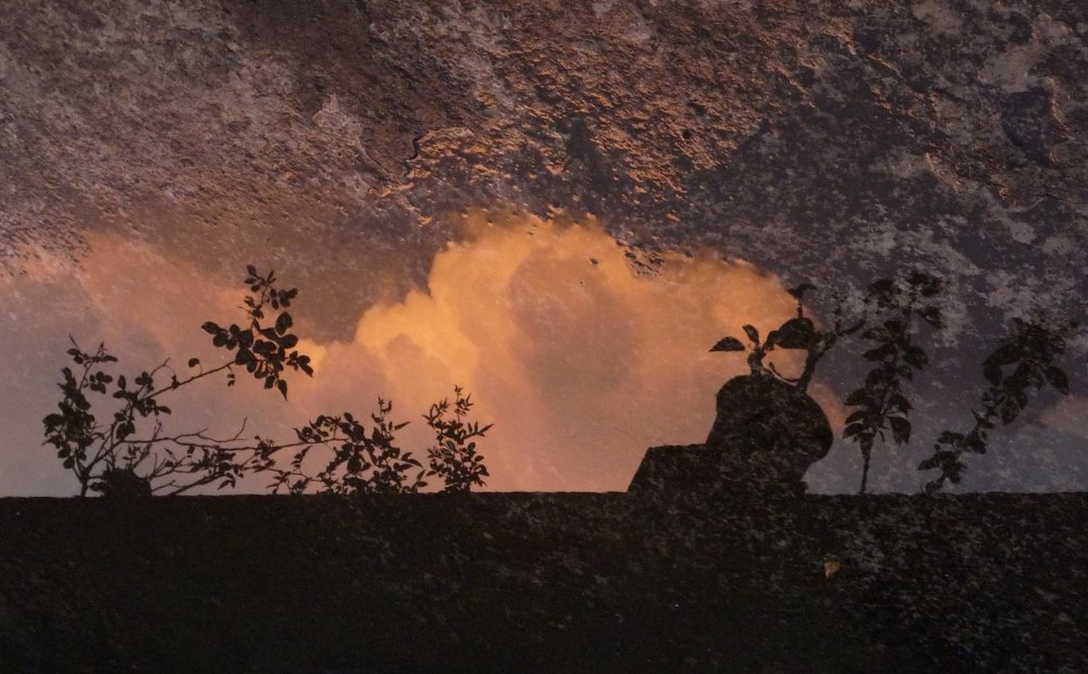 Фотография автора Kalyan Bhowmick