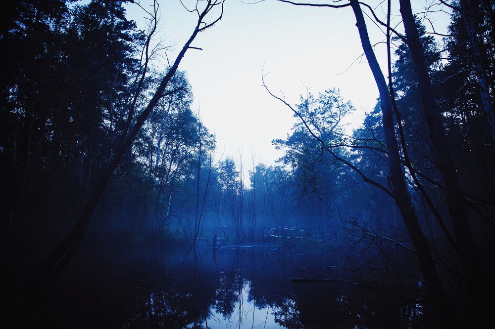 Photograph by Артем Никитин