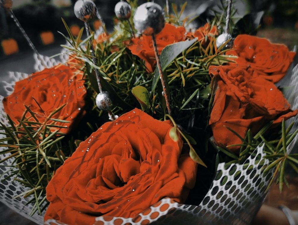 Фотография автора Parag Purkar