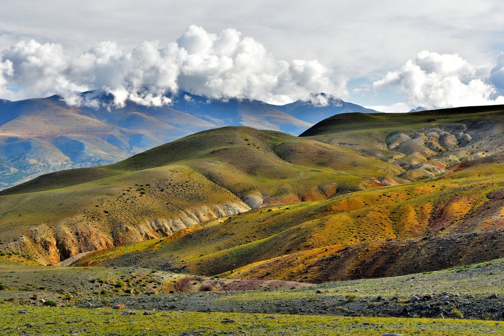 Марсианский рассвет