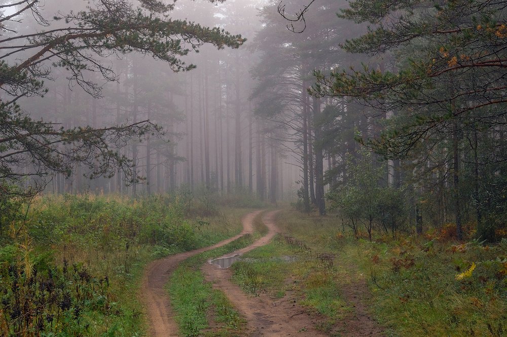 Photograph by Марина Мурашова