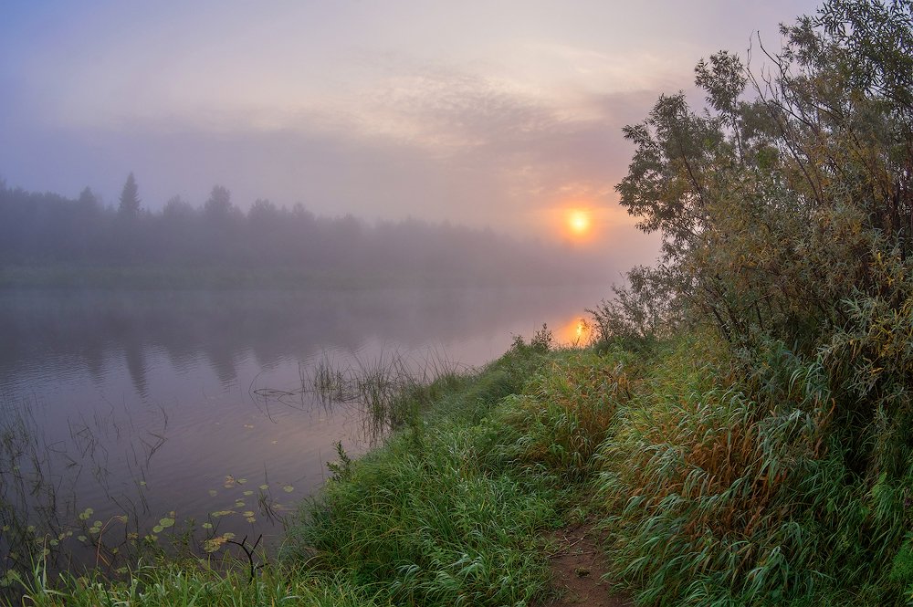 Photograph by Марина Мурашова