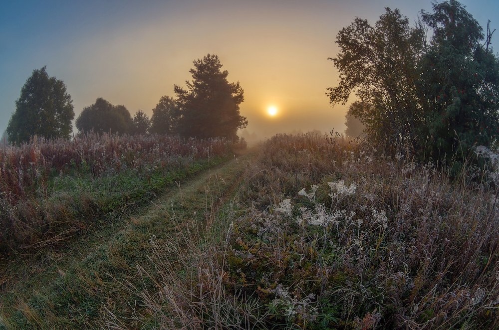 Photograph by Марина Мурашова