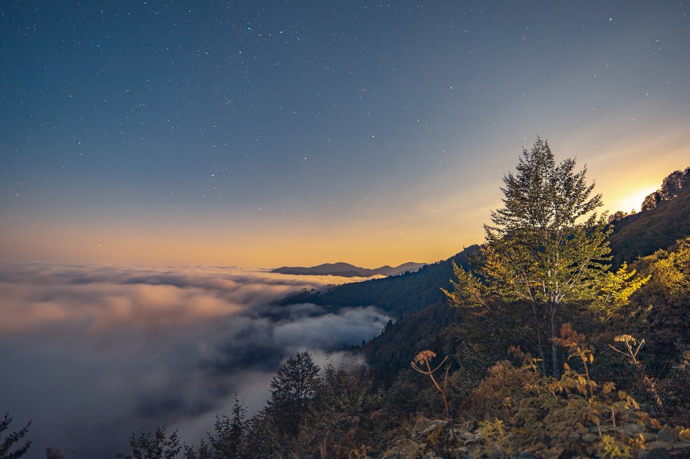 Photograph by BEKA MSKHILADZE