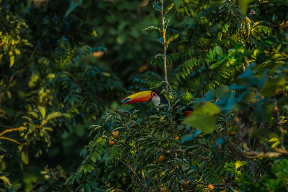 Фотография автора Liliana