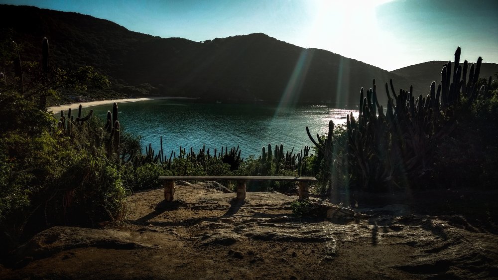 Photograph by Fabricio Bento