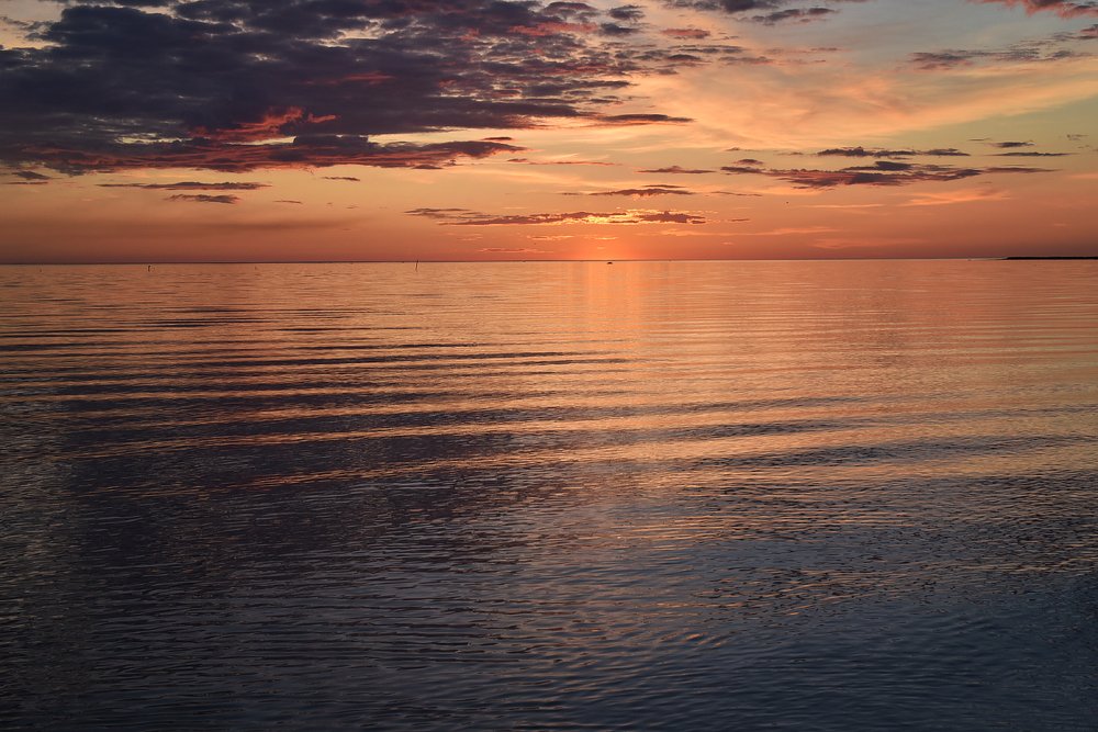 Фотография автора Анна Ершова