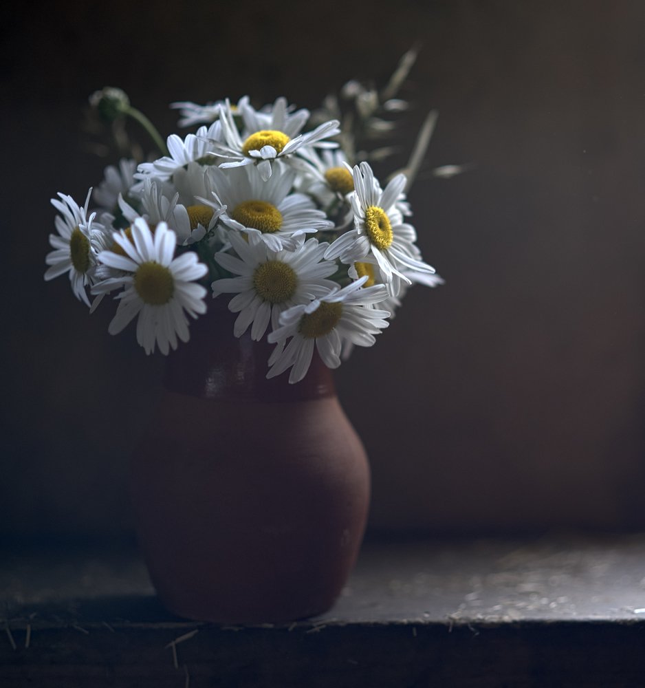Photograph by Лариса Абрамова