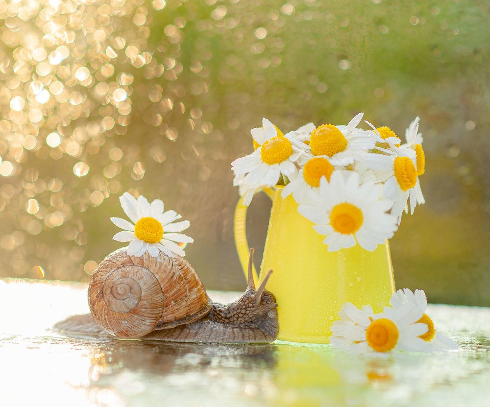 Photograph by Яна Украинец