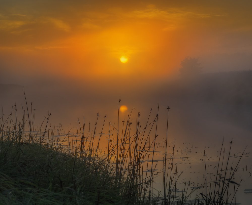 Photograph by Андрей Корочкин