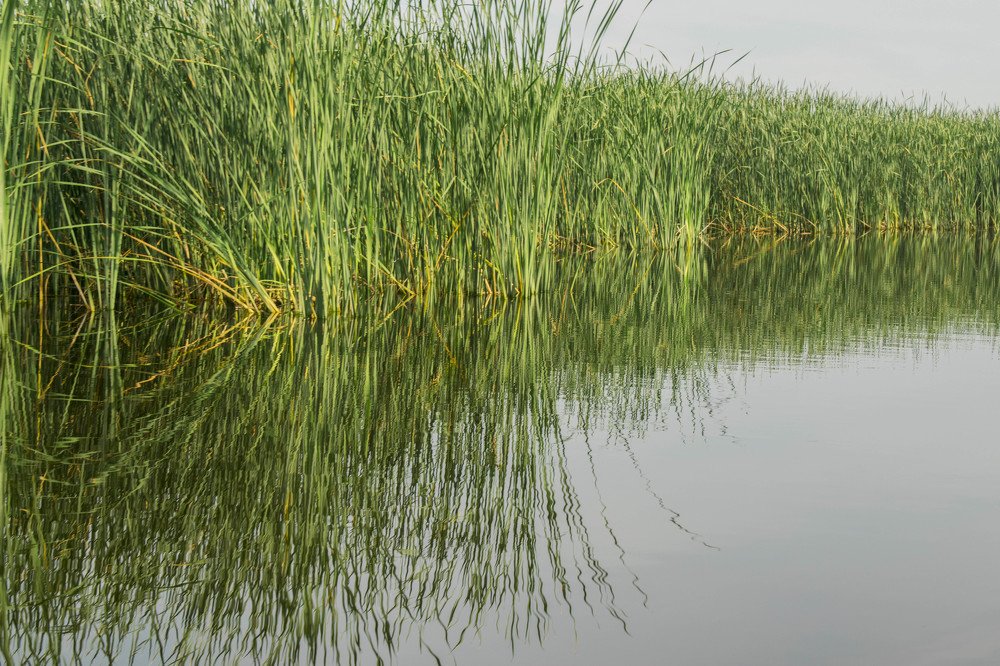 Photograph by Наталья Громова