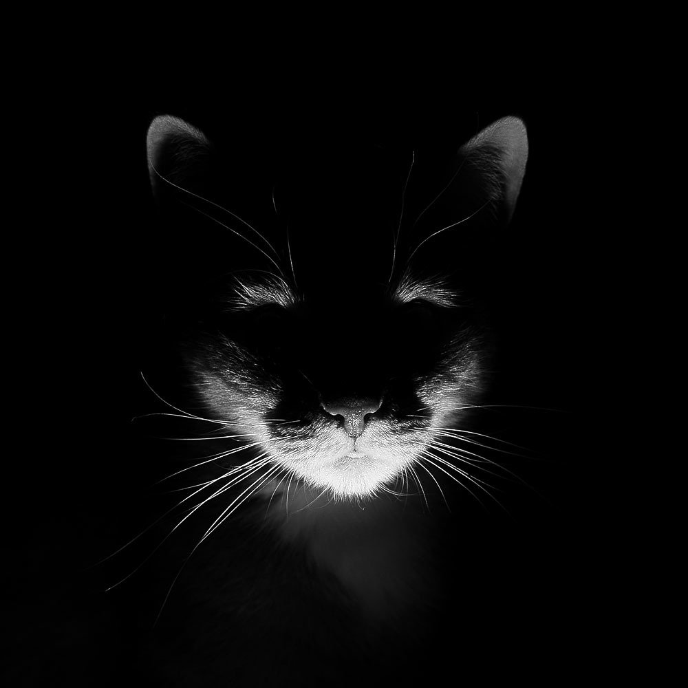 Photograph by Евгений Аккуратов