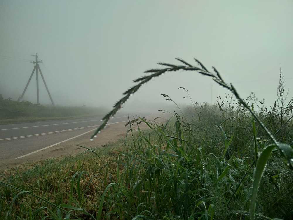 Photograph by Марина Мишина