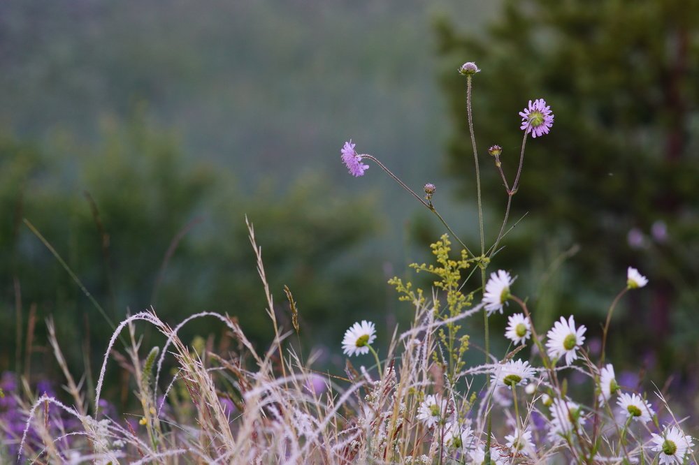Photograph by 