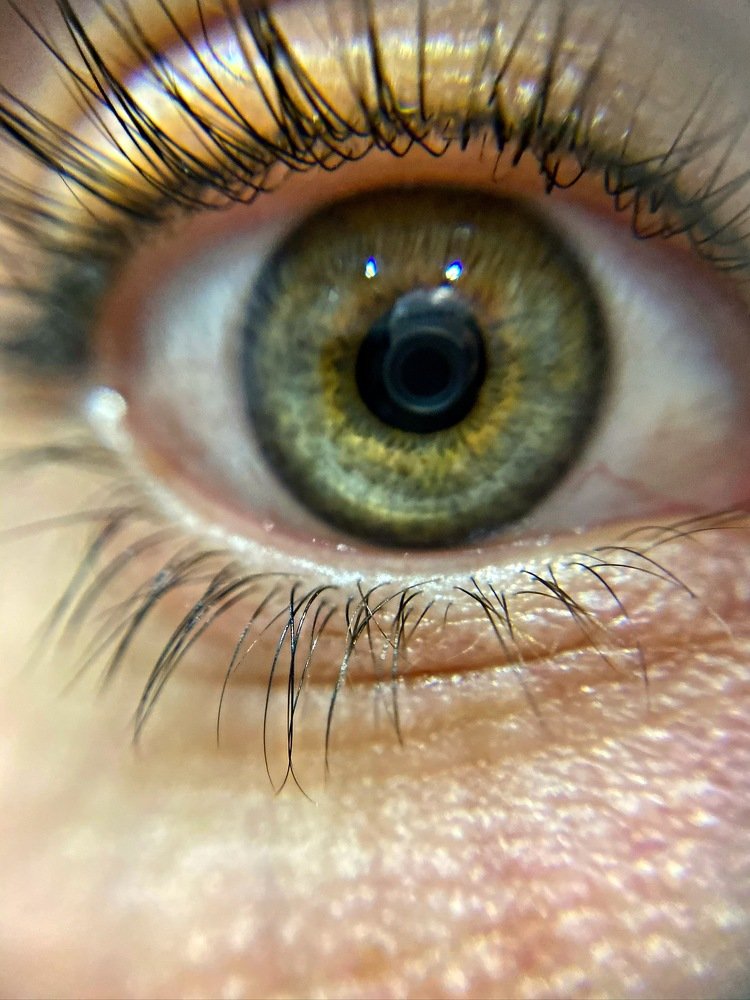 Photograph by Tamara Sulzhik