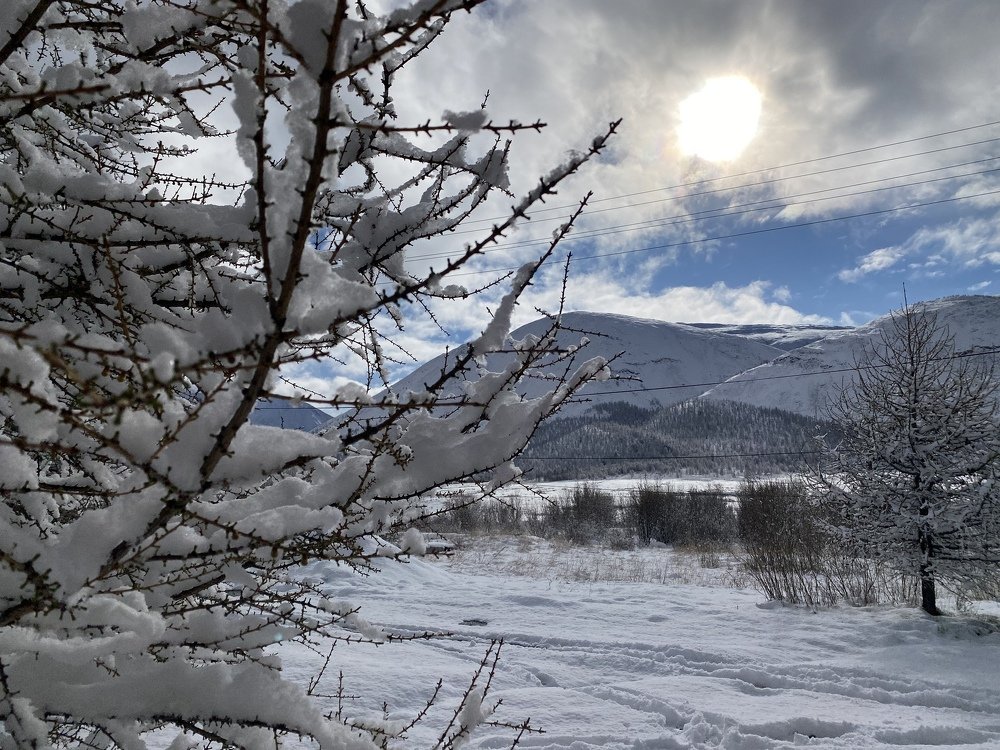 Photograph by Tamara Sulzhik