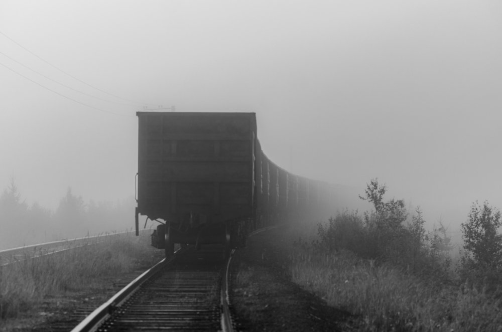 Photograph by Рузаев Дмитрий