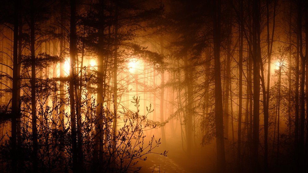 Photograph by Александр Нестеров