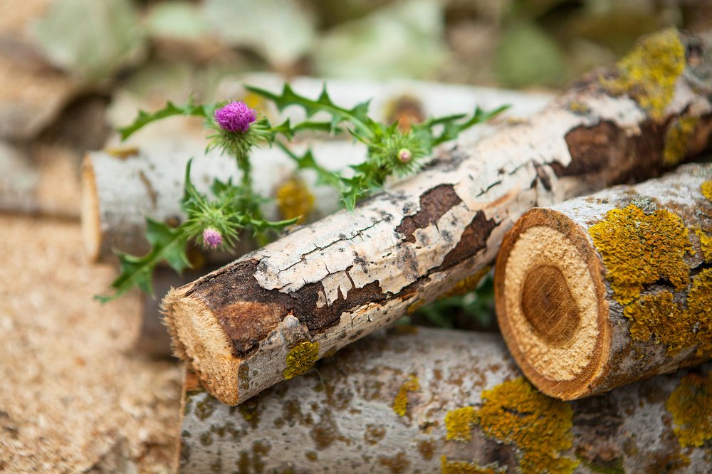 Фотография автора Юлия Капустинская