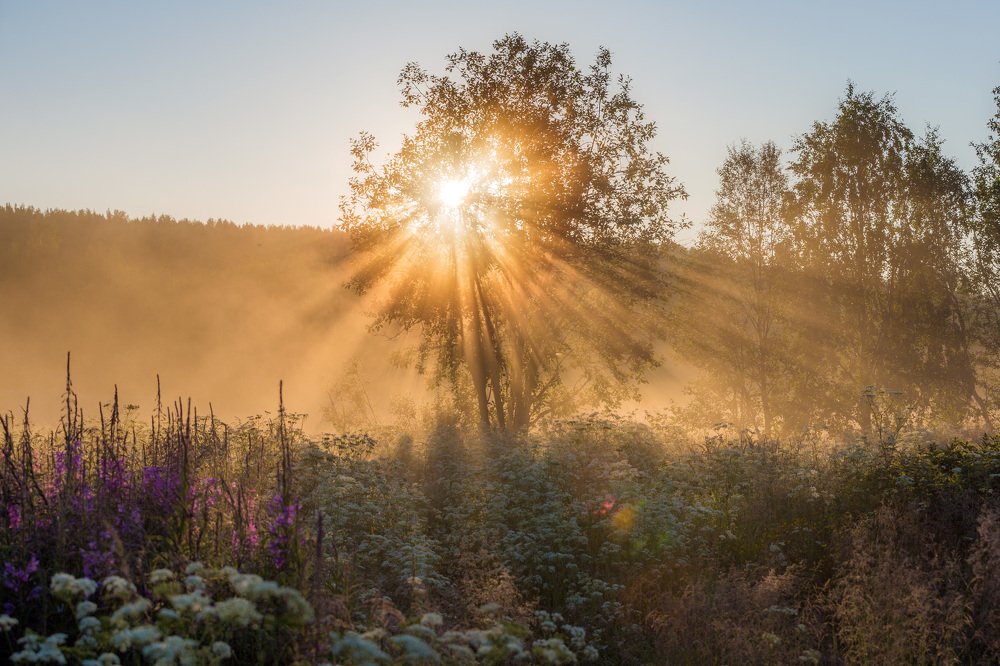 Photograph by Валентин Жиганов