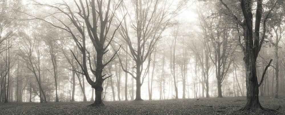 Photograph by Игорь Ткачев