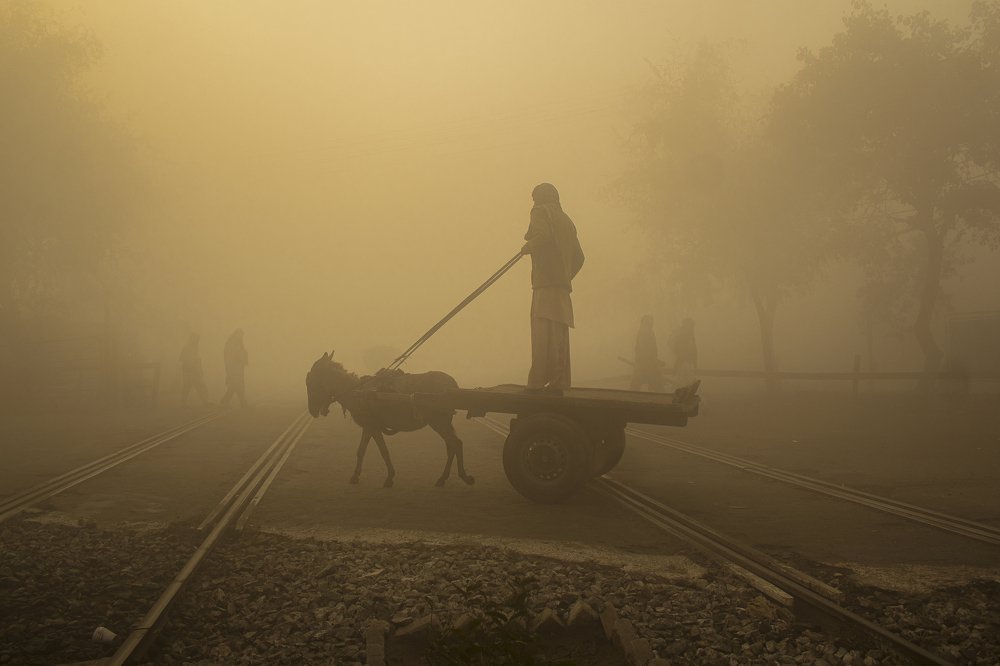 Photograph by M Y Dogar