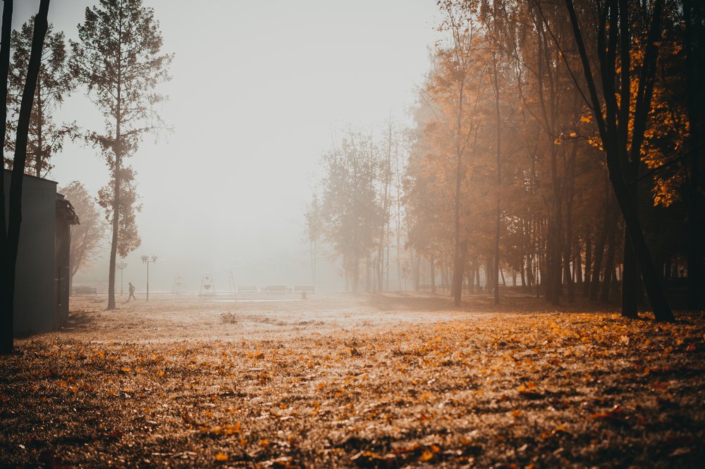 Photograph by Валерий Зенович