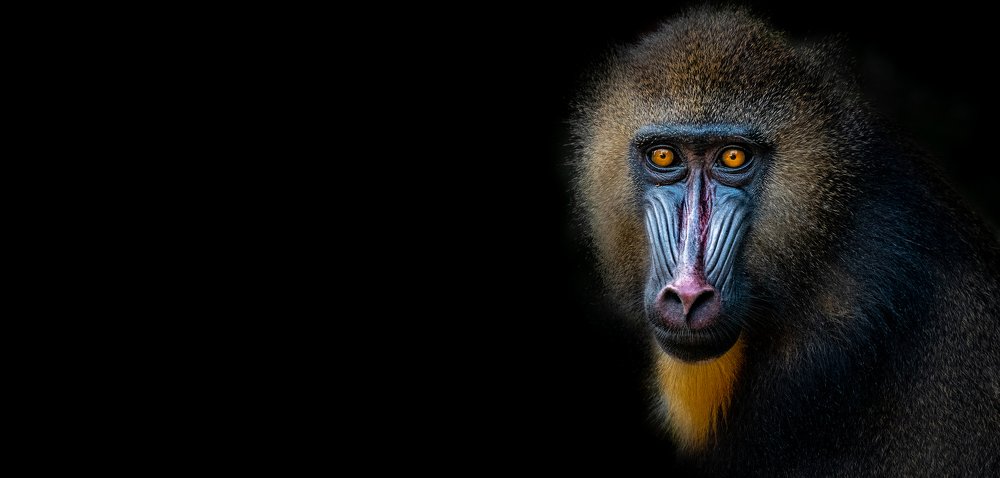 Photograph by Furqan Ali