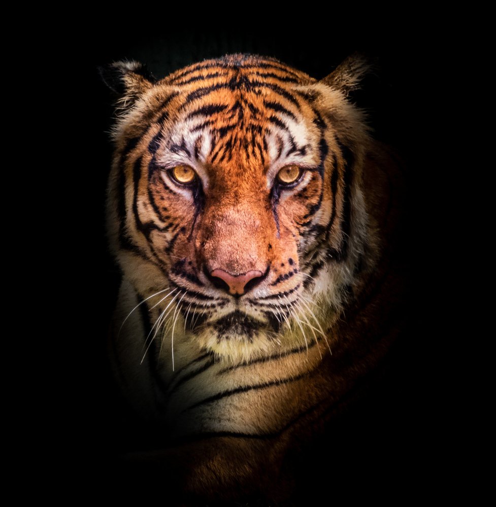 Photograph by Furqan Ali