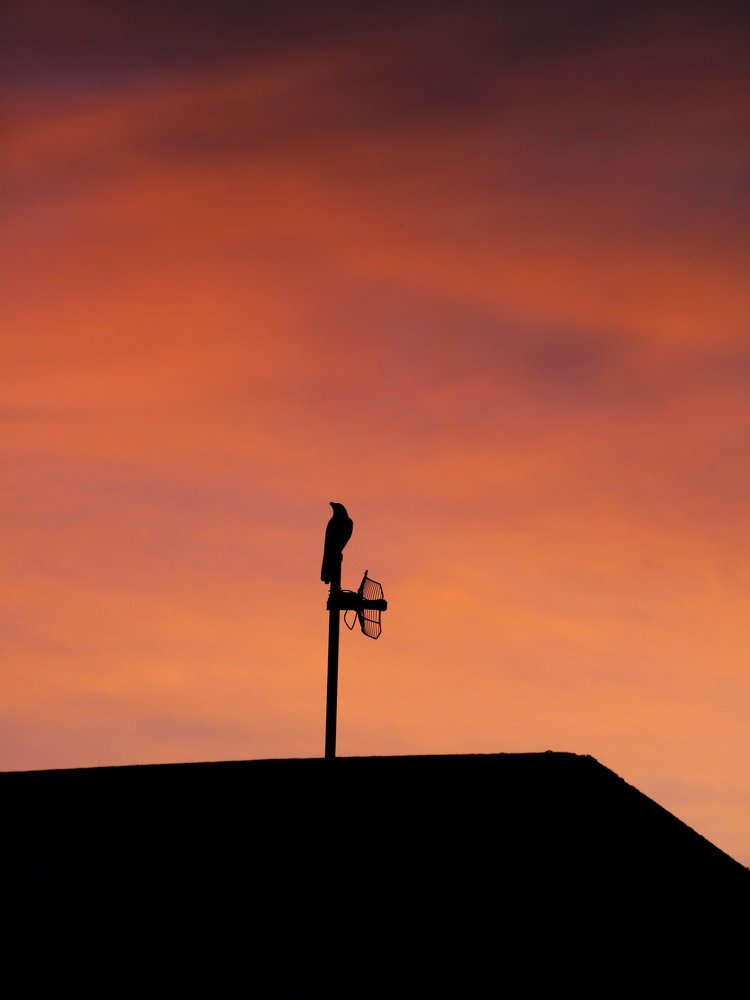 Photograph by Sayali Mulay