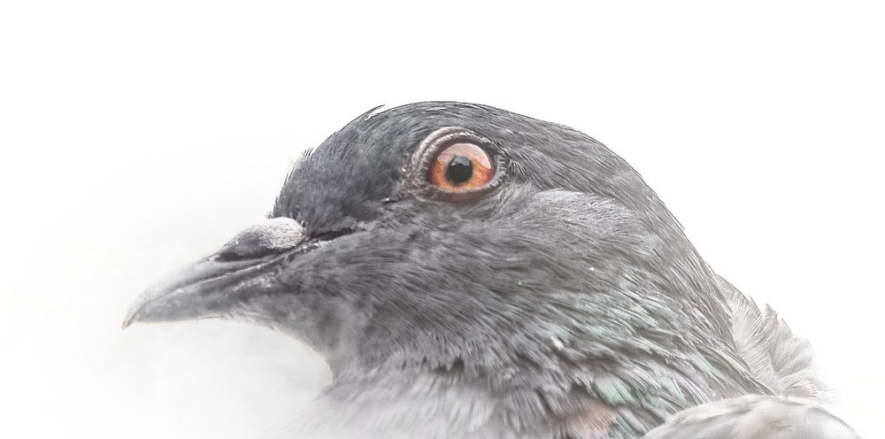 Photograph by Madhuri Devasani