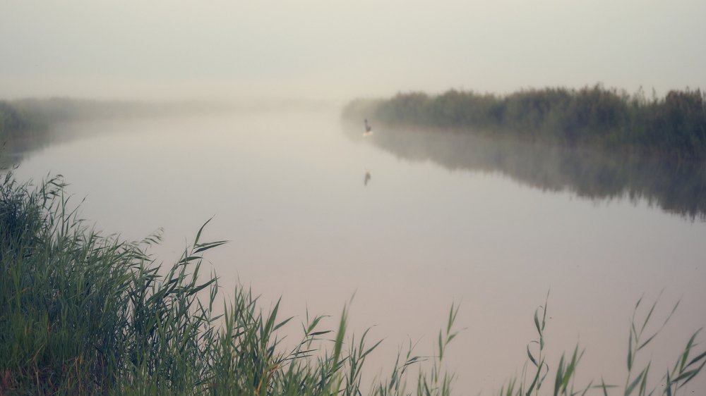 Фотография автора Вячеслав Владимирович