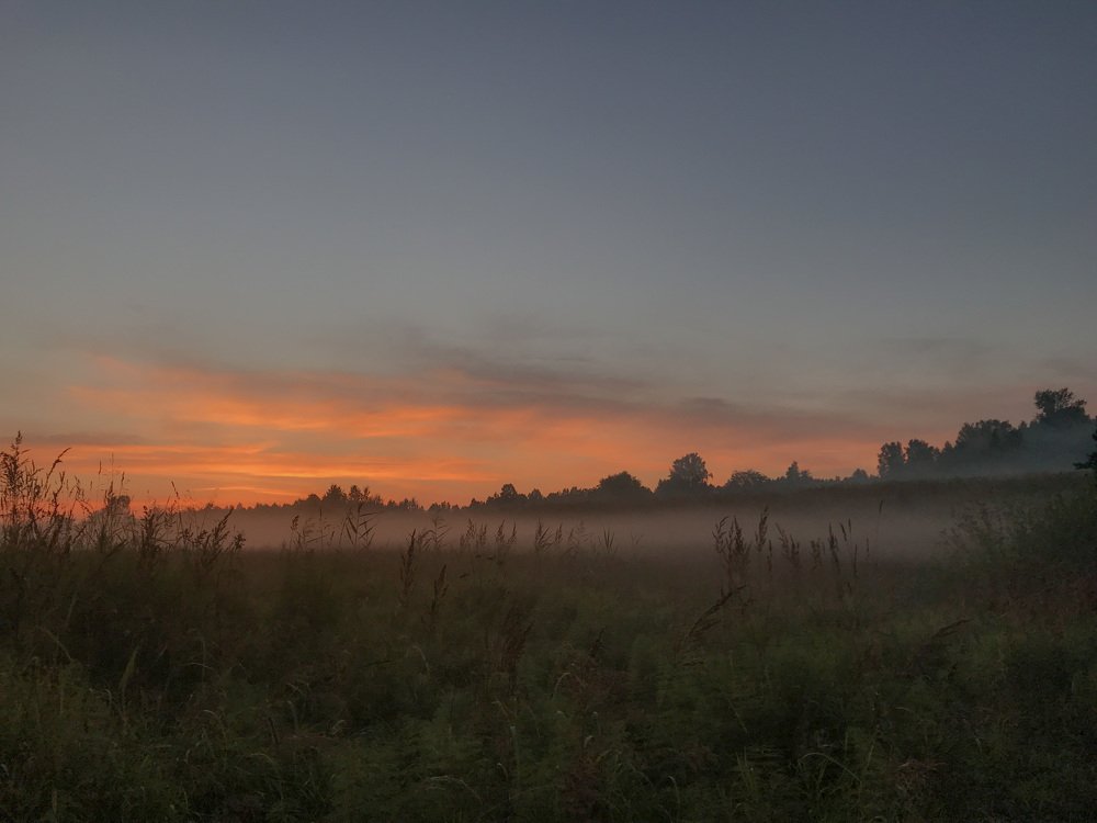 Photograph by Елизавета Байкова