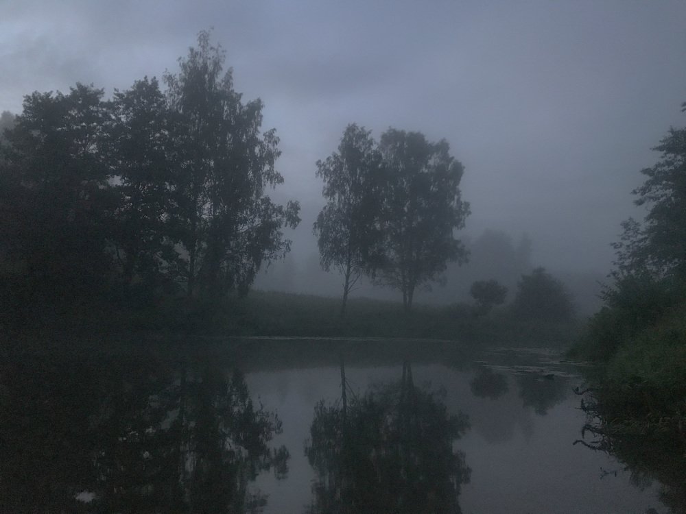 Photograph by Елизавета Байкова