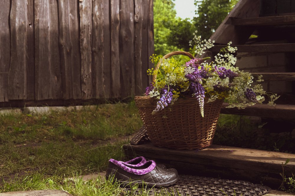 Photograph by Елизавета Байкова