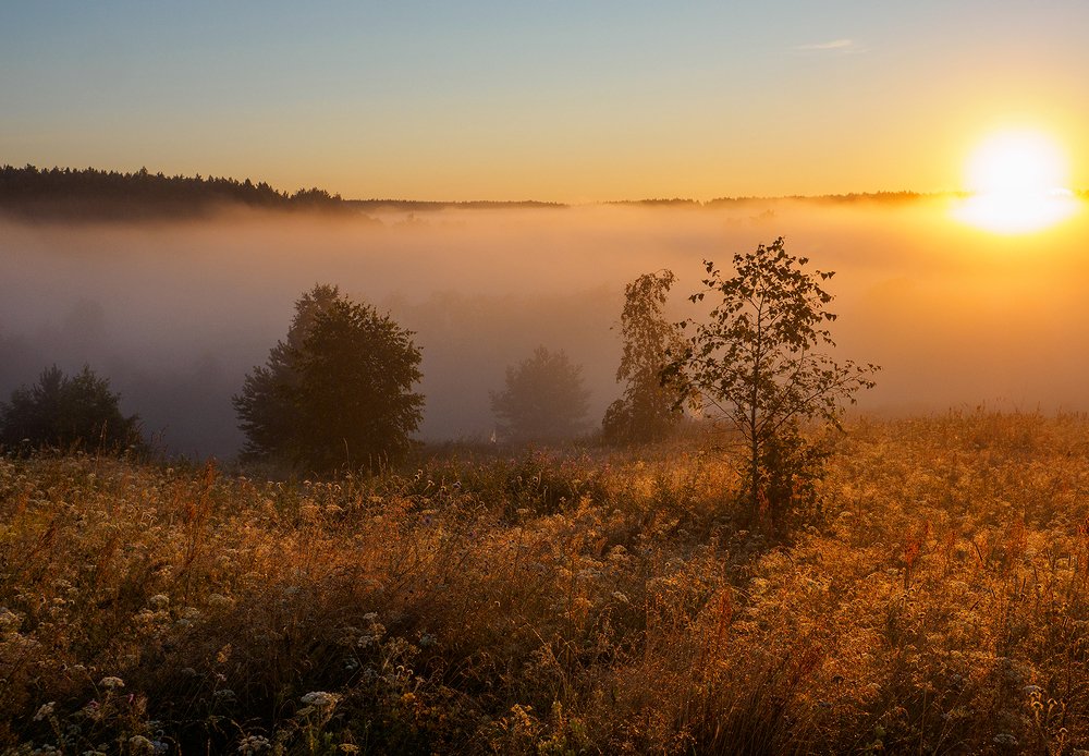 Photograph by Марина Брыдня
