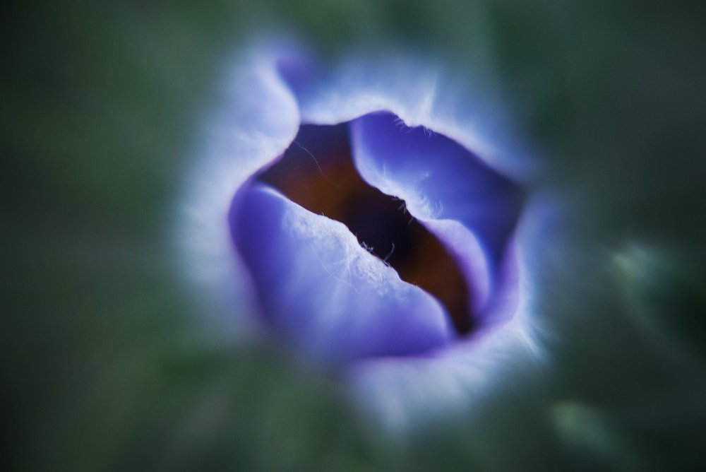 Photograph by Юлия Коротких